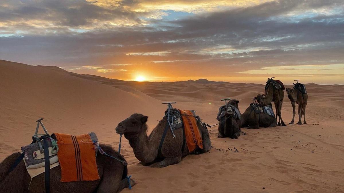 Chegaga Desert Trips Otel M'Hamid Dış mekan fotoğraf